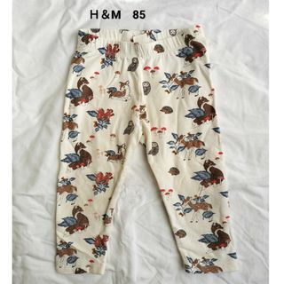 エイチアンドエム(H&M)のH＆М　裏起毛レギンスパンツ　85(パンツ)