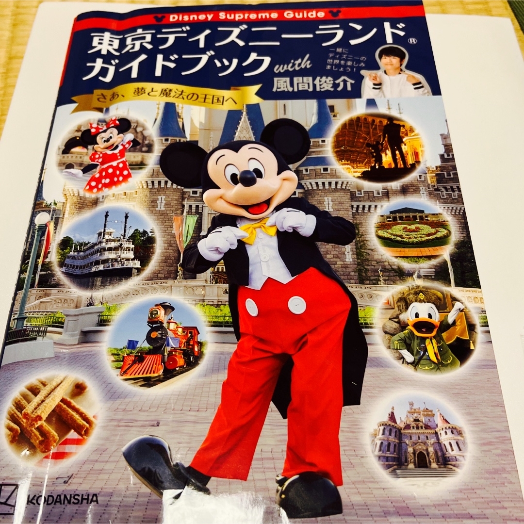 Disney(ディズニー)のDisney Supreme Guide 東京ディズニーランドガイドブック  エンタメ/ホビーの本(地図/旅行ガイド)の商品写真