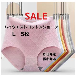 SALE ハイウエストコットンショーツL  5枚(ショーツ)