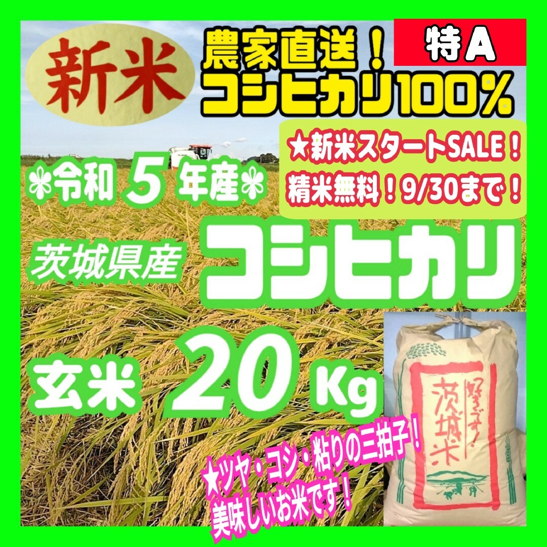 令和5年産 茨城県産 特A 新米 コシヒカリ 玄米 20Kg 20キロ ① - 米/穀物