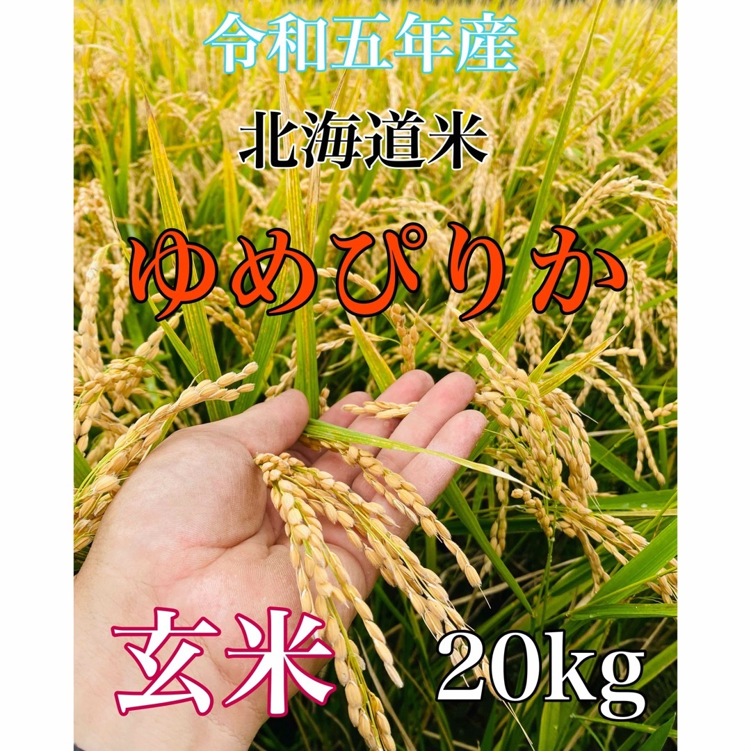 新米❗️ 令和5年度産北海道米100%ゆめぴりか玄米20キロおすすめ - 米