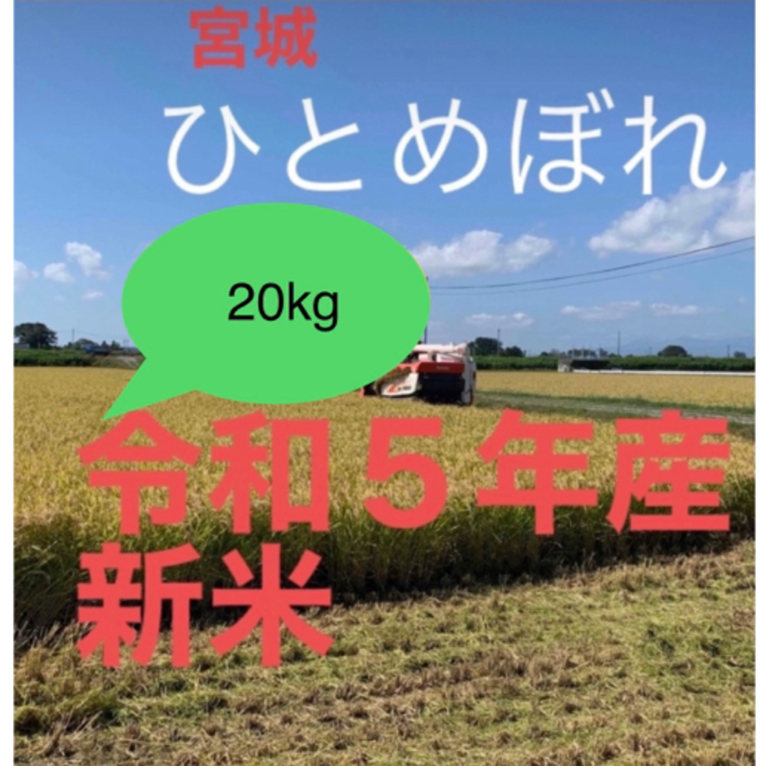 新米　20kg　ひとめぼれ　米/穀物