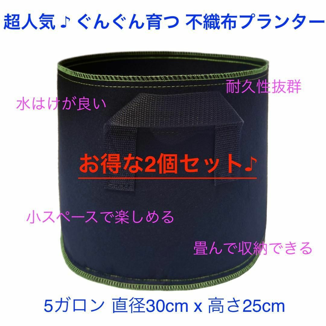 不織布プランター 5ガロン 植木鉢 10号 ブラック+グリーンパイピングx 2個 ハンドメイドのフラワー/ガーデン(プランター)の商品写真