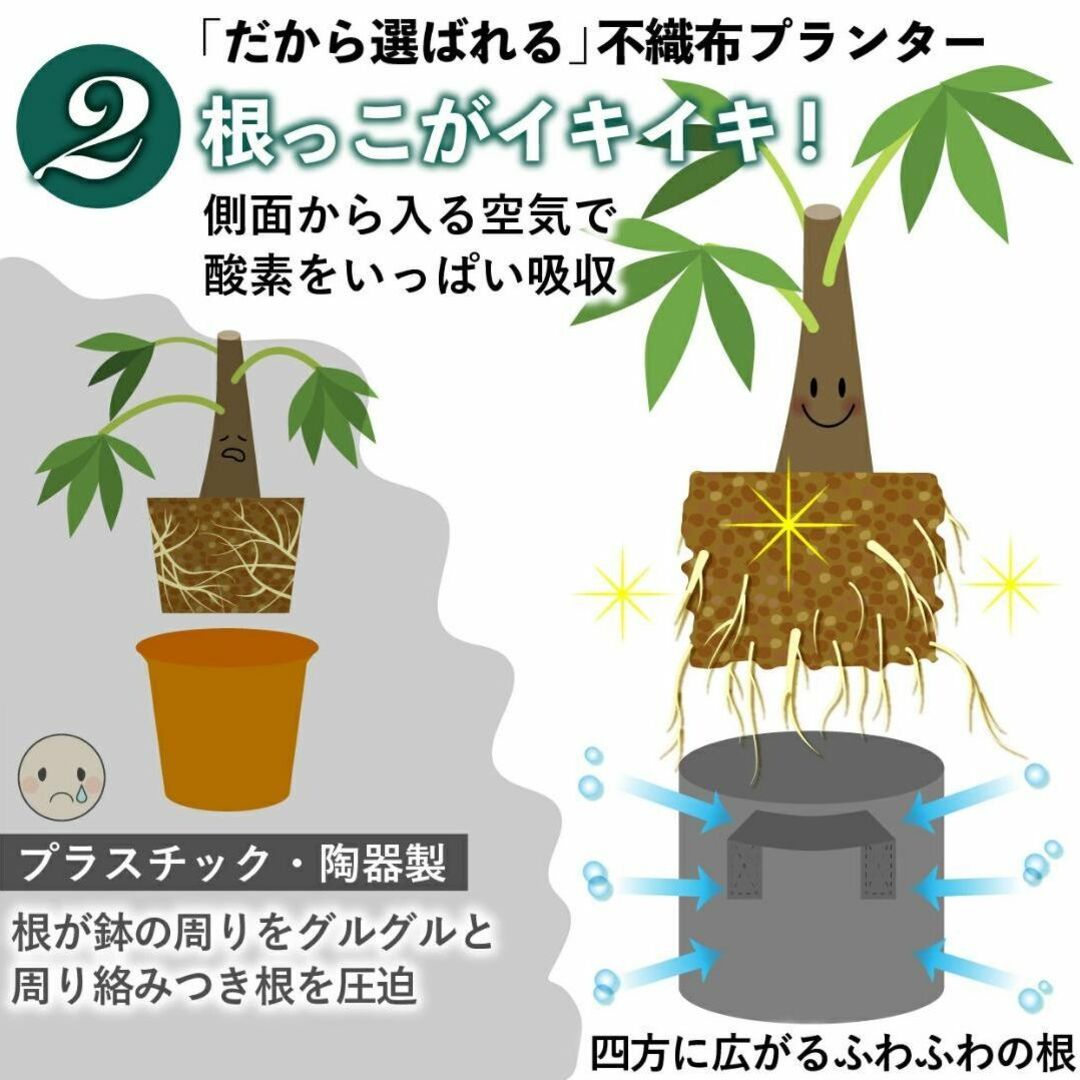 不織布プランター 5ガロン 植木鉢 10号 ブラック+グリーンパイピングx 2個 ハンドメイドのフラワー/ガーデン(プランター)の商品写真