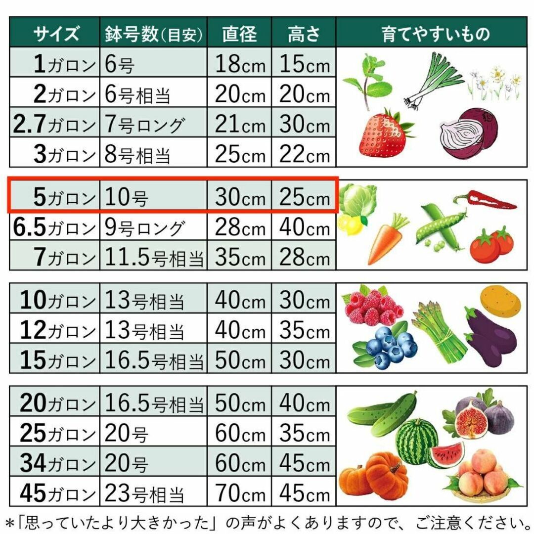 不織布プランター 5ガロン 植木鉢 10号 ブラック+グリーンパイピング ハンドメイドのフラワー/ガーデン(プランター)の商品写真