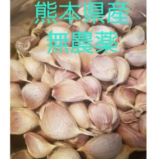 熊本県産農薬不使用　にんにくバラ800g(野菜)