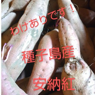 新物　訳あり品　種子島産安納紅M・Lサイズ混合5キロ(野菜)