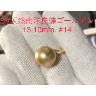 SV天然南洋白蝶ゴールデン真珠　丸系リング　13.10mm. #14(リング(指輪))