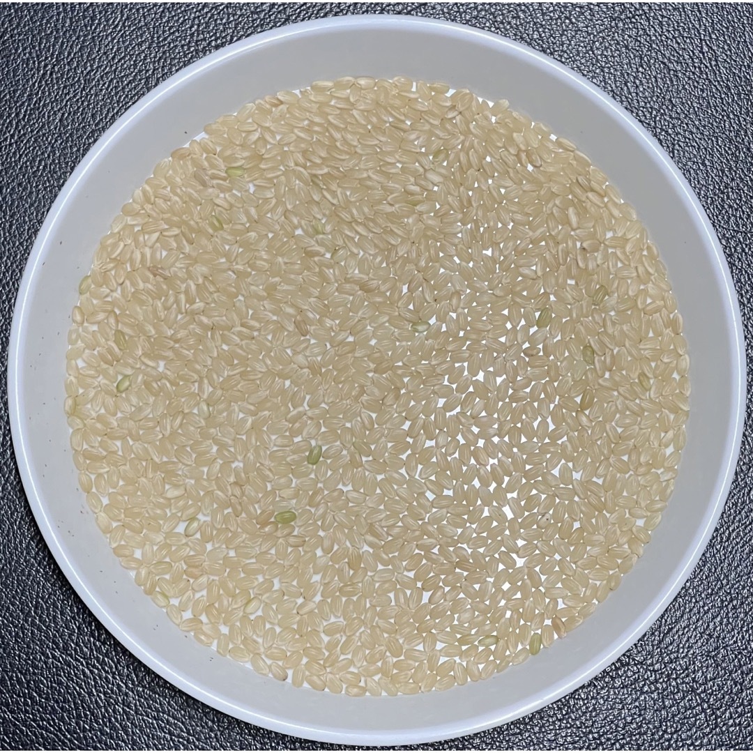 米　送料無料　玄米　京都　30kg　コシヒカリ　米/穀物　新米　丹後