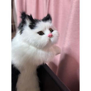 ねこ 縫いぐるみ リアル 本物 そっくり ペット プレゼント ギフト 子供 誕生(ぬいぐるみ)