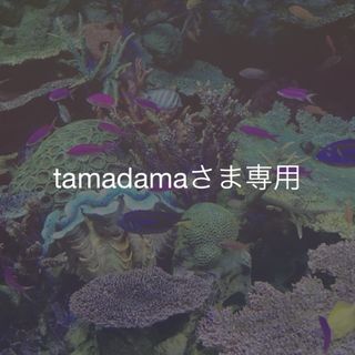 tamadamaさま専用(ピアス)