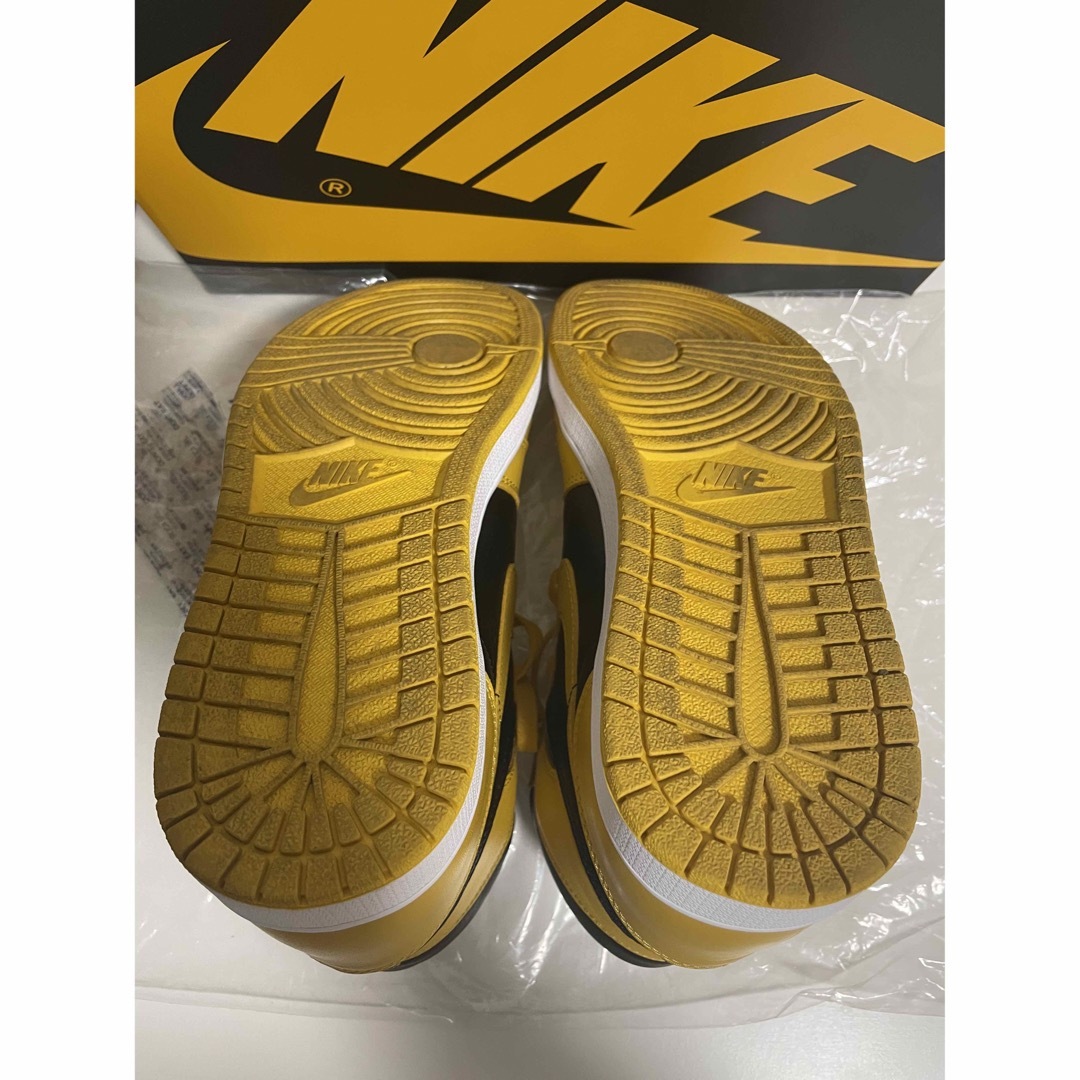 Nike Air Jordan 1 High OG "Pollen"