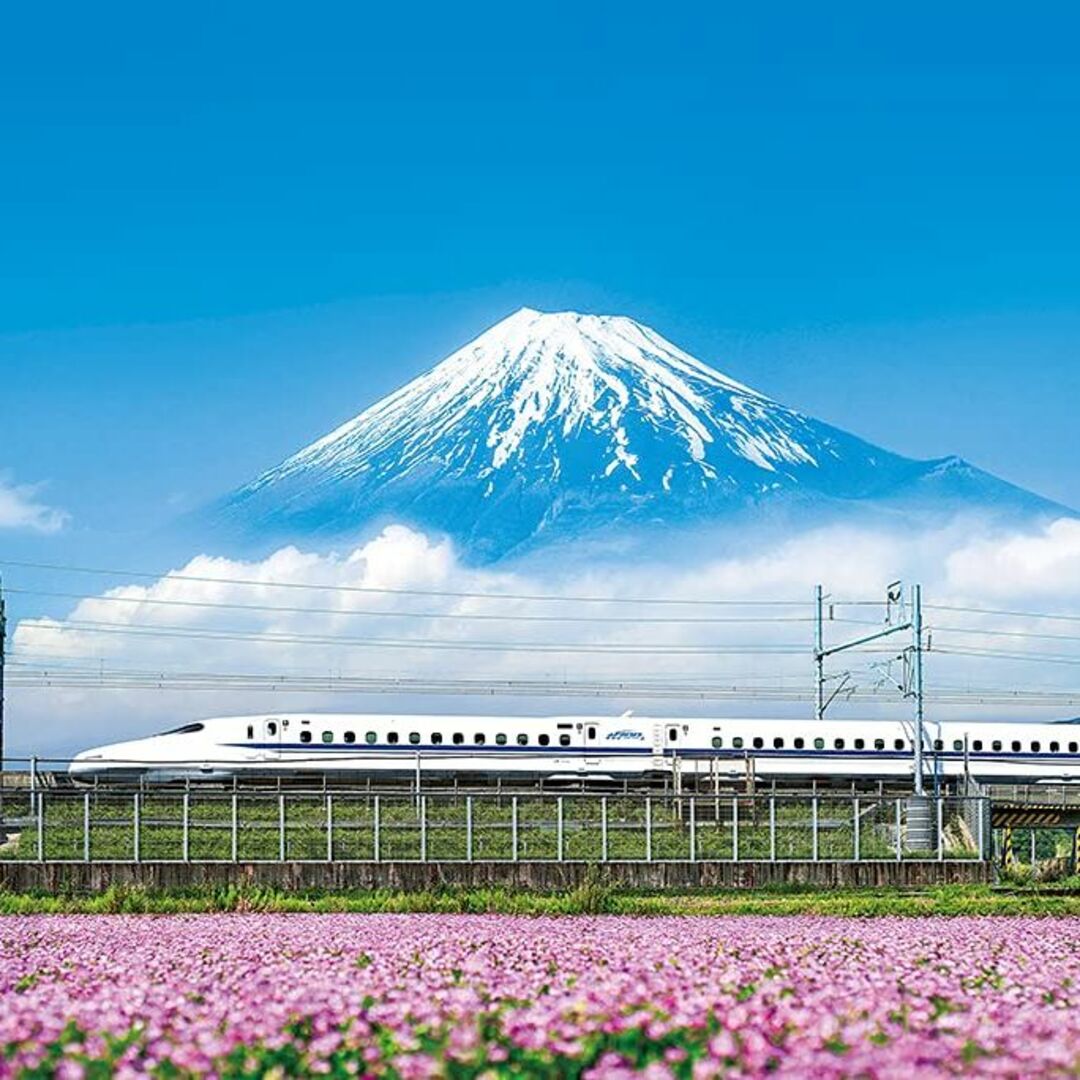 500ピース ジグソーパズル れんげの花と富士山 (静岡) コンパクトピース (