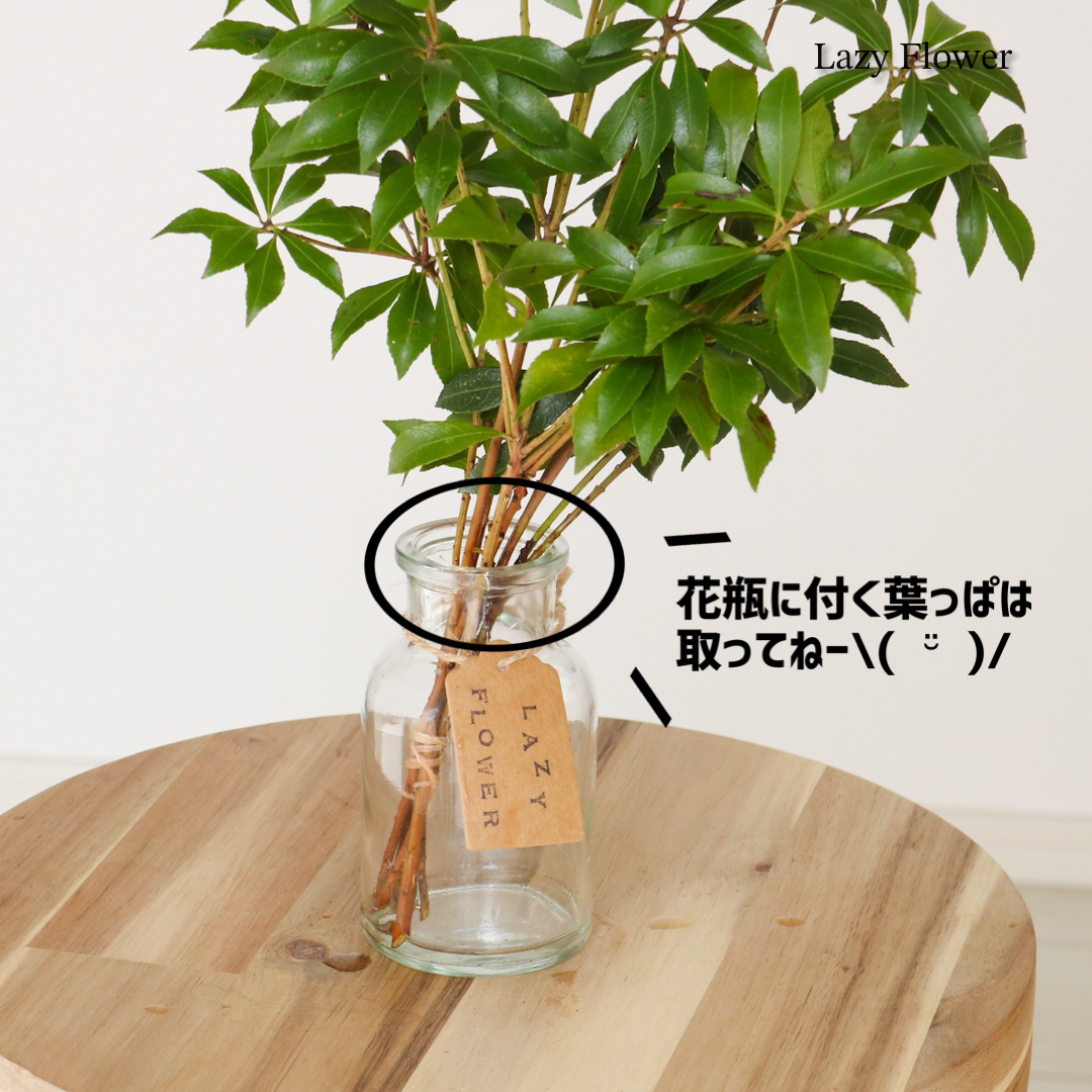 アセビ 30cm 1束　枝物 生花 観葉植物 インテリア ハンドメイドのインテリア/家具(インテリア雑貨)の商品写真