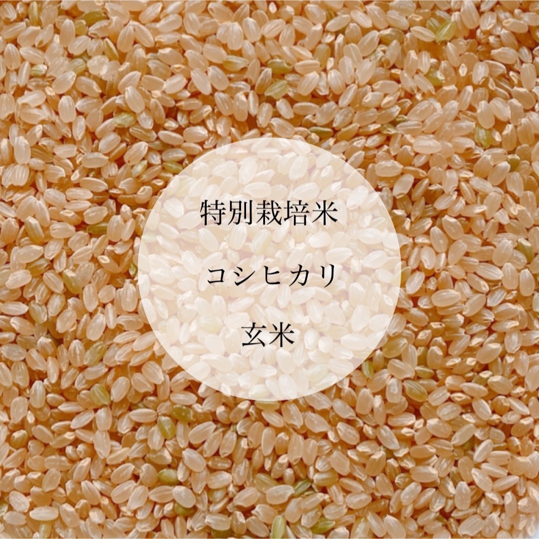 令和5年新米 特別栽培米コシヒカリ 農薬節減・化学肥料不使用 玄米10kg ... 令和5年新米コシヒカリ 農薬不使用 玄米10キロ