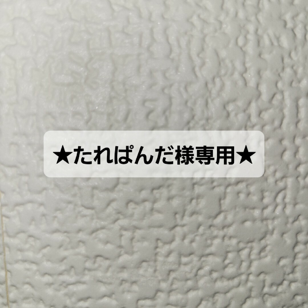 ★たれぱんだ様専用★ その他のその他(その他)の商品写真