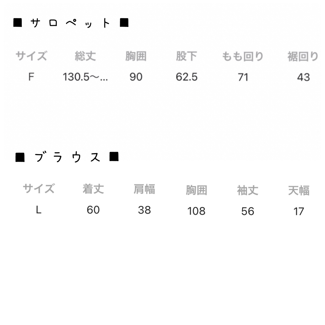 LOWRYS FARM(ローリーズファーム)のサロペット ブラウス セット レディースのパンツ(サロペット/オーバーオール)の商品写真