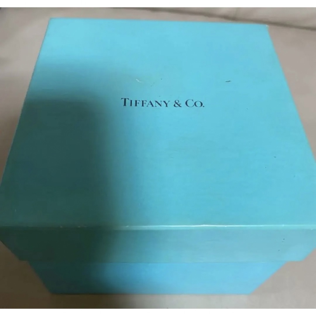 新品ギフトBOXセット付TIFFANY リンゴモチーフ マネークリップ