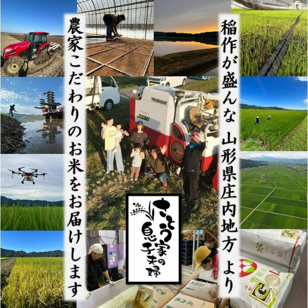 【中米】新米　山形県庄内産　中粒米　白米25kg