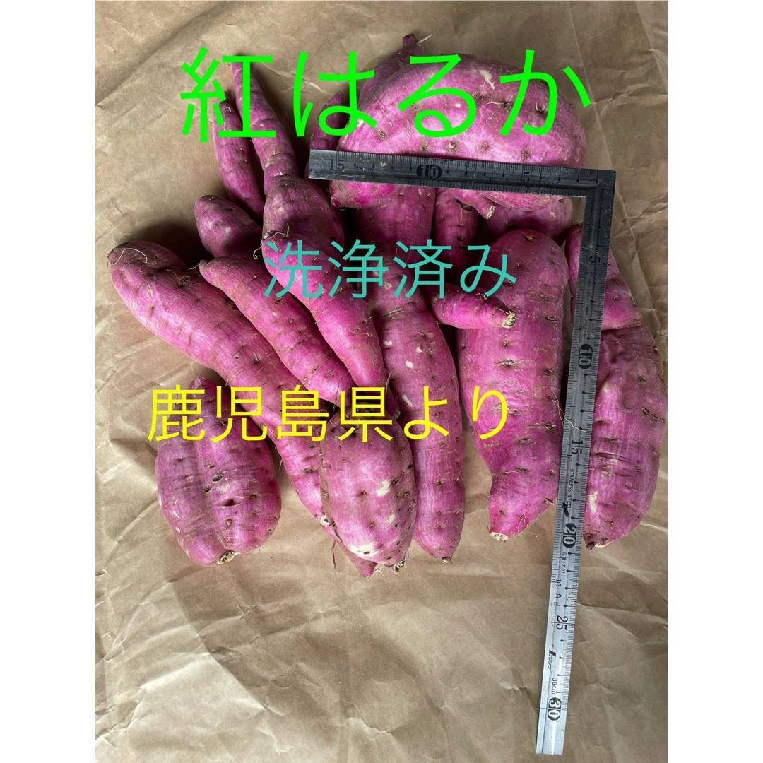 さつまいも　紅はるか　無農薬　10キロ 超　　　鹿児島県産 食品/飲料/酒の食品(野菜)の商品写真