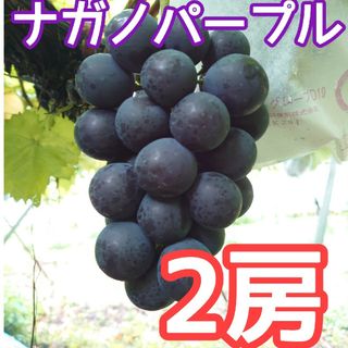 ナガノパープル　２房　高級種無しぶどう　長野県産(フルーツ)