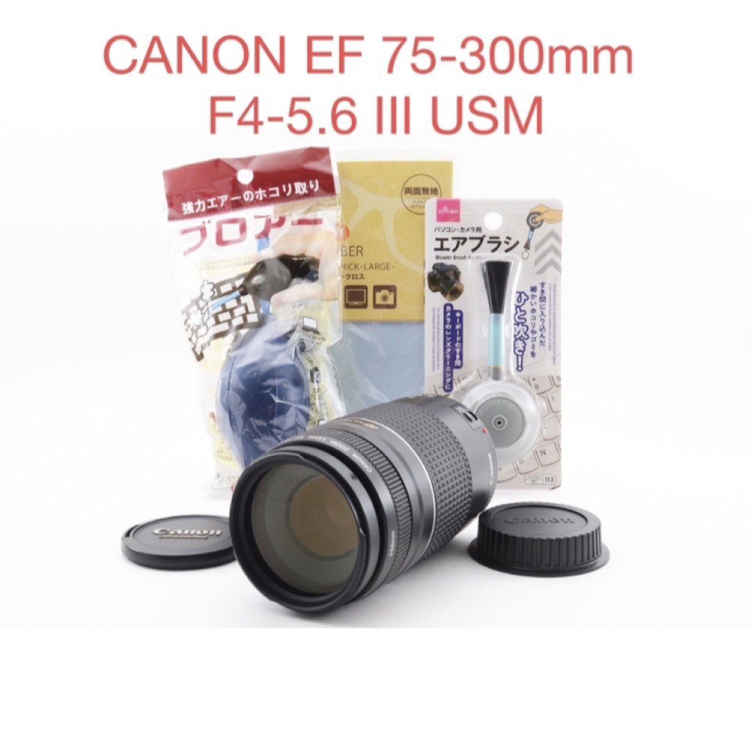 ☆実用美品☆キヤノン☆CANON EF 75-300mm F4-5.6 III