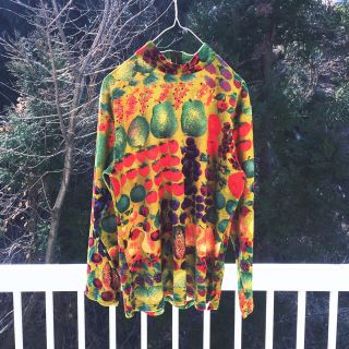 デプト(DEPT)のfruit motif velours cutsew(カットソー(長袖/七分))