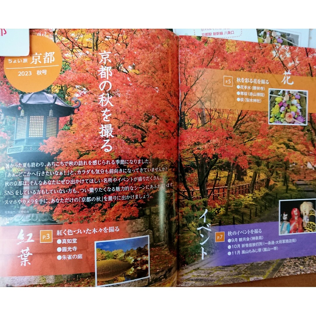 🍁京都観光資料 2種 ポケットサイズ × 各5部の通販 by 🌟Life 🍁京都観光資料 2種 ポケットサイズ × 各5部の通販 by 🌟Life