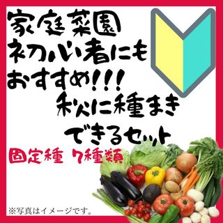 2023年度　初心者でも簡単！秋にまける野菜の種　7種類セット　固定種(その他)