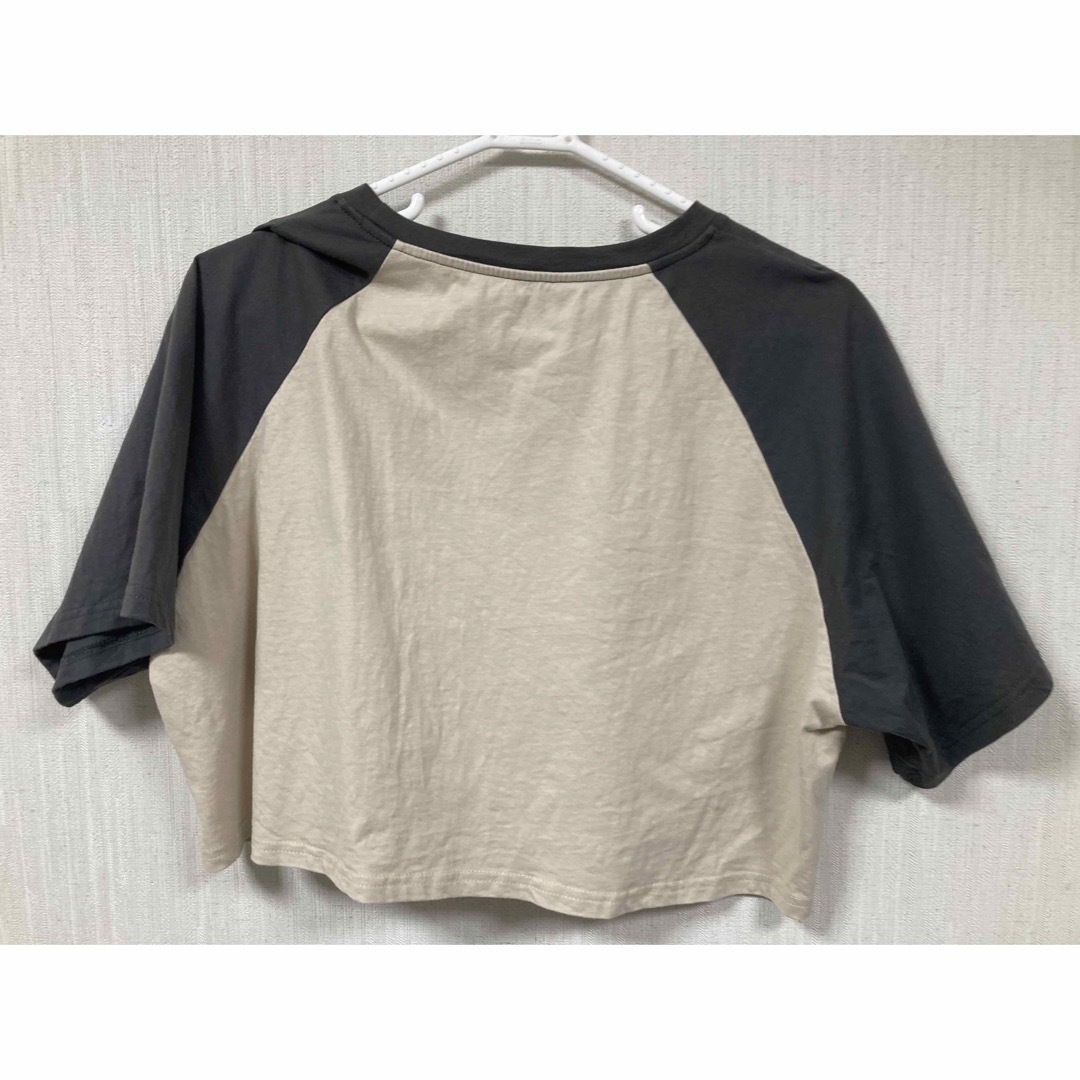 SHEIN Tシャツ レディースのトップス(Tシャツ(半袖/袖なし))の商品写真