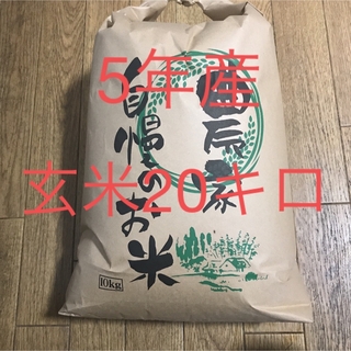5年産コシヒカリ玄米20キロ減農薬