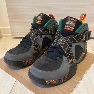 ナイキ(NIKE)のAIR RAID/エアレイド アーバンジャングルジム 27.5㎝(スニーカー)