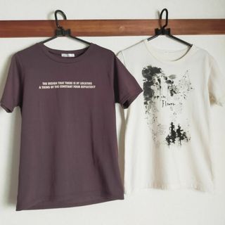 Tシャツ  綿 ポリエステル Ｍサイズ 半袖 レディース 半袖Tシャツ(Tシャツ(半袖/袖なし))