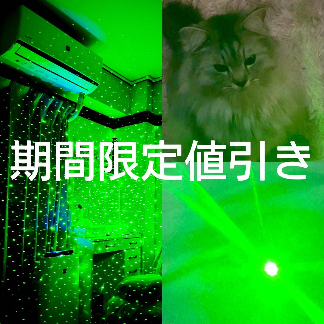 LEDペンライト　レーザー　ポインター　カラス駆除  猫おもちゃ　工事　会議　2 その他のペット用品(猫)の商品写真