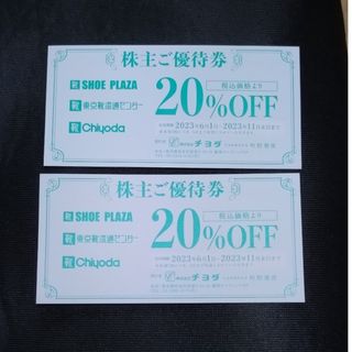 チヨダ(Chiyoda)のチヨダ20%OFF株主優待券×2枚(その他)