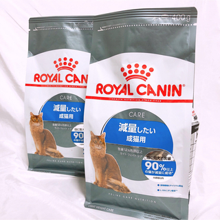 ROYAL CANIN - ロイヤルカナン 健康な尿を維持したい成猫用 2kg×2の
