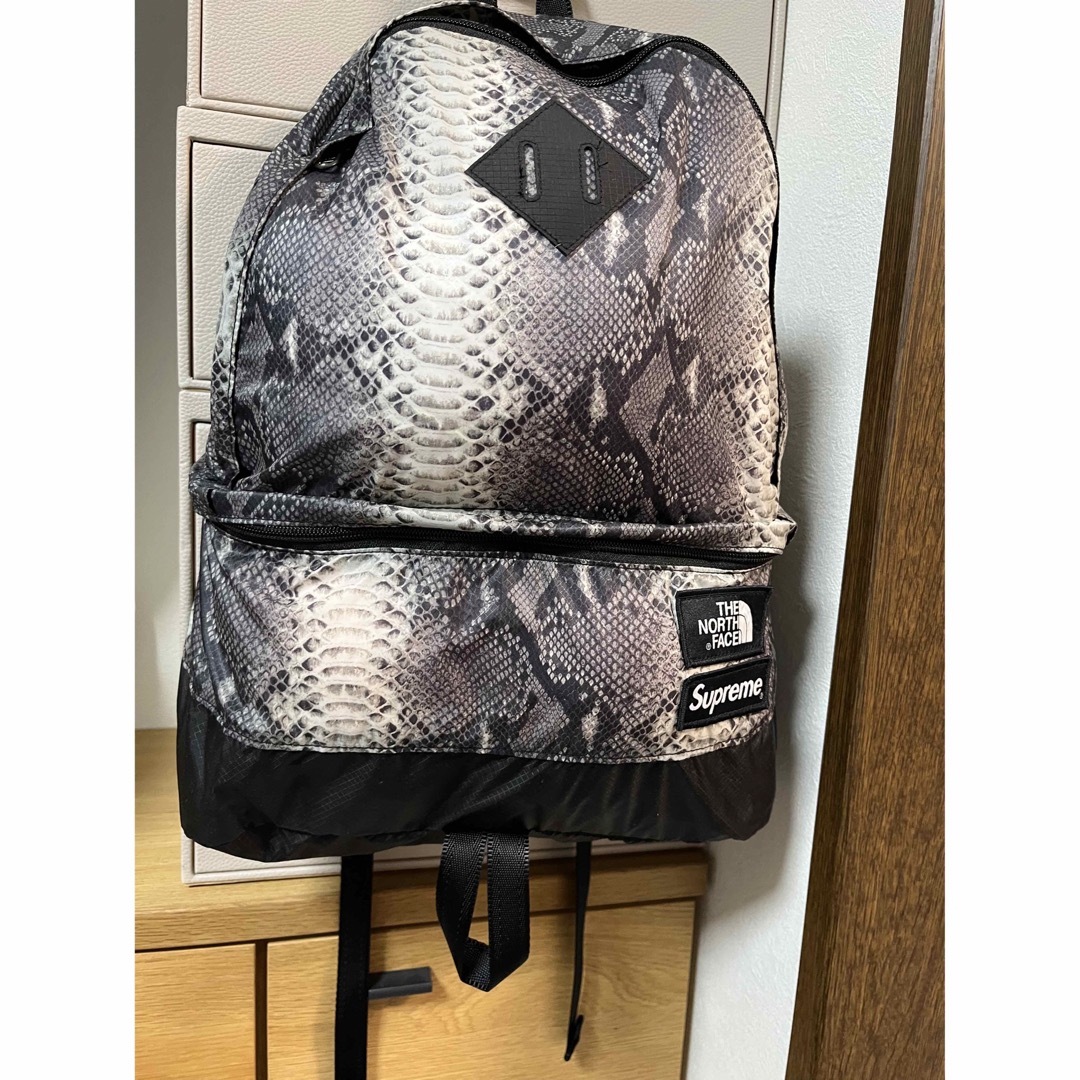 18ss Snake skin Lightweight Day Pack