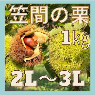 【茨城県産】笠間の栗　1キロ　2L〜3Lサイズ