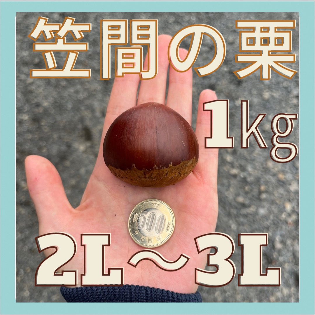 【茨城県産】笠間の栗　1キロ　2L〜3Lサイズ 食品/飲料/酒の食品(野菜)の商品写真