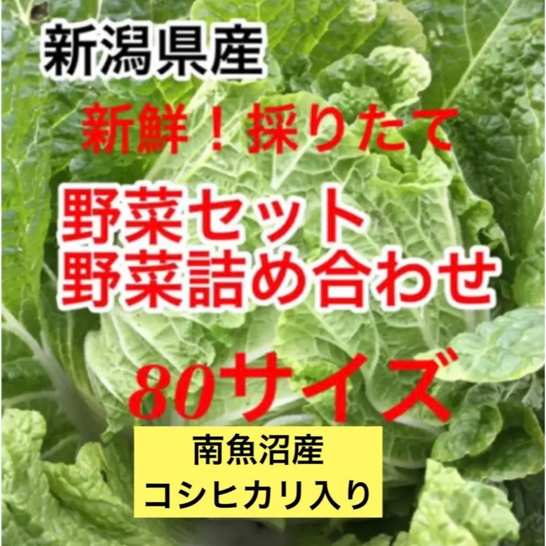 新鮮！採りたて！南魚沼産コシヒカリ入り！新潟県産　野菜セット80サイズ 食品/飲料/酒の食品(野菜)の商品写真