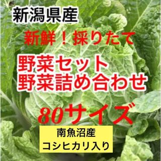 新鮮！採りたて！南魚沼産コシヒカリ入り！新潟県産　野菜セット80サイズ(野菜)