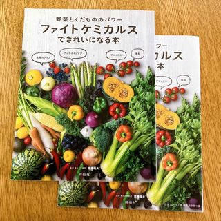 ファイトケミカルスできれいになる本 野菜とくだもののパワ－(ファッション/美容)