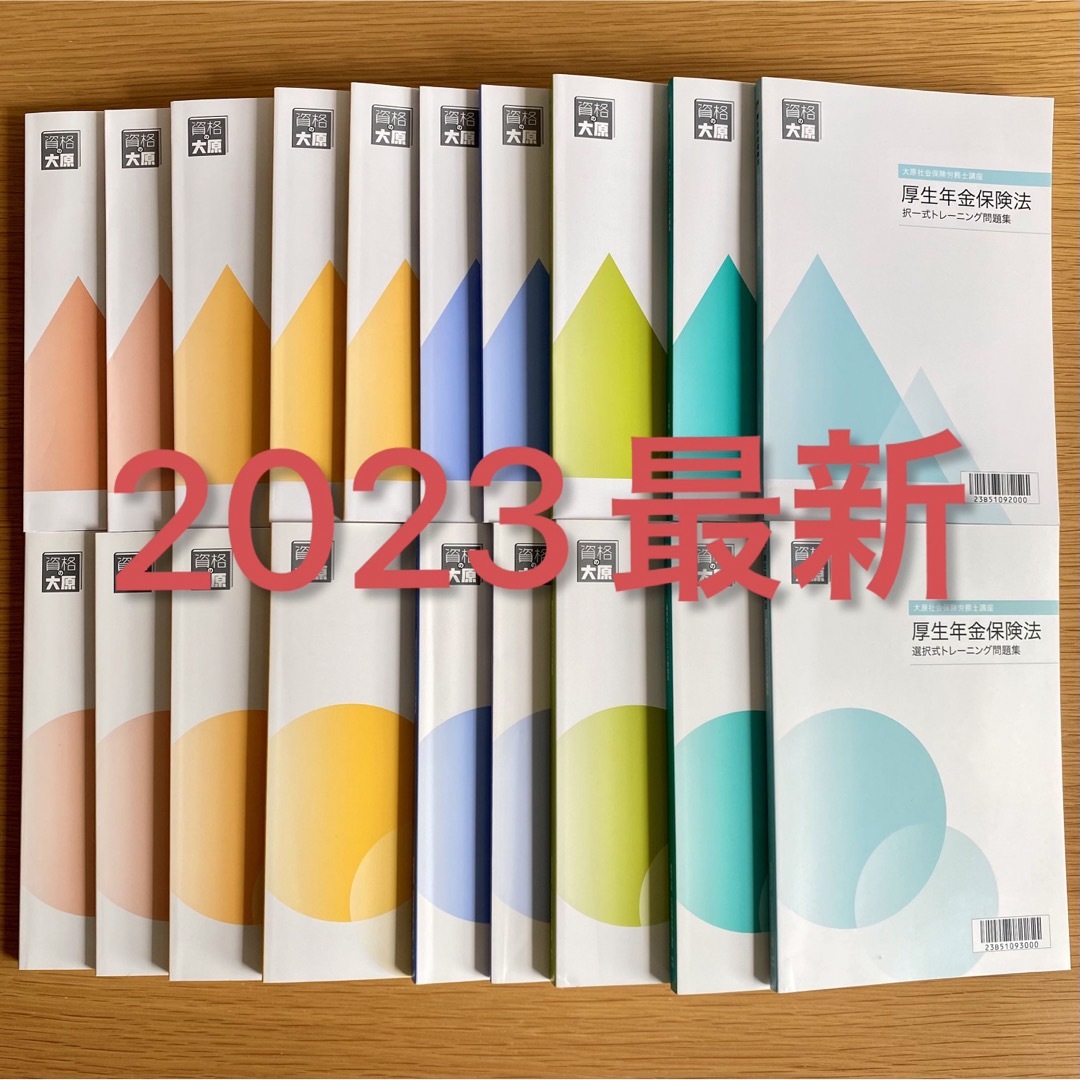 【新品】最新2023大原　社労士　全科目　問題集（選択式／択一式）19冊セットLEC