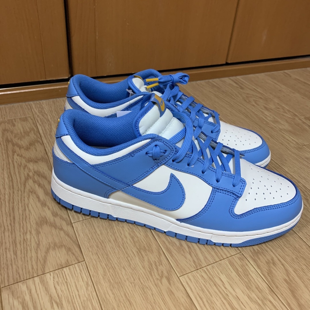 スニーカーナイキ NIKE WMNS Dunk Low Coast メンズ28cm