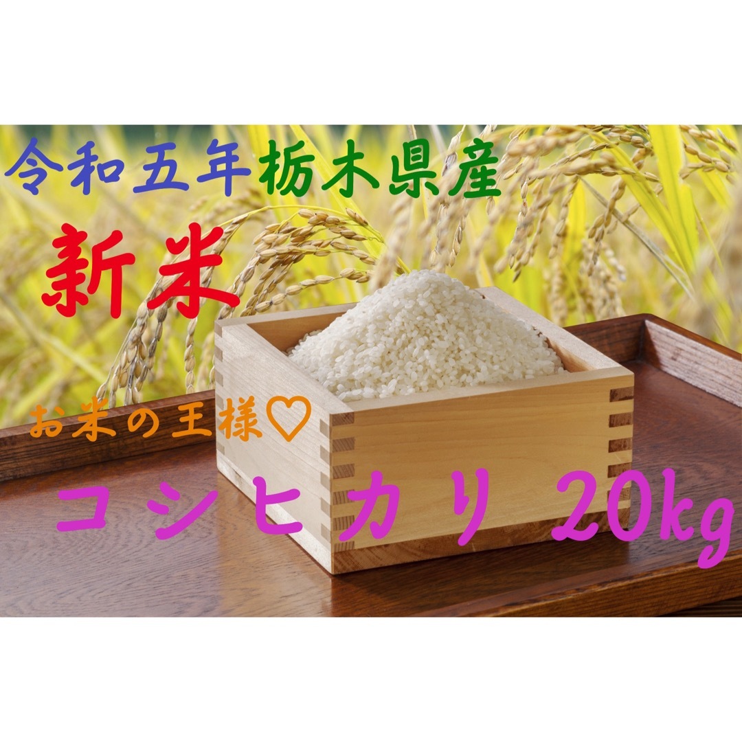 新米コシヒカリ20kg<送料無料/玄米>☆　米/穀物