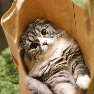 【なおちゃん様専用】(バッグ)