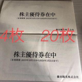 藤田観光　株主優待　2セット(水族館)