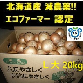 北海道産玉ねぎ20kg L大サイズ(野菜)