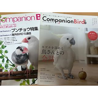 コンパニオンバ－ド 鳥たちと楽しく快適に暮らすための情報誌 ｎｏ．１８(住まい/暮らし/子育て)