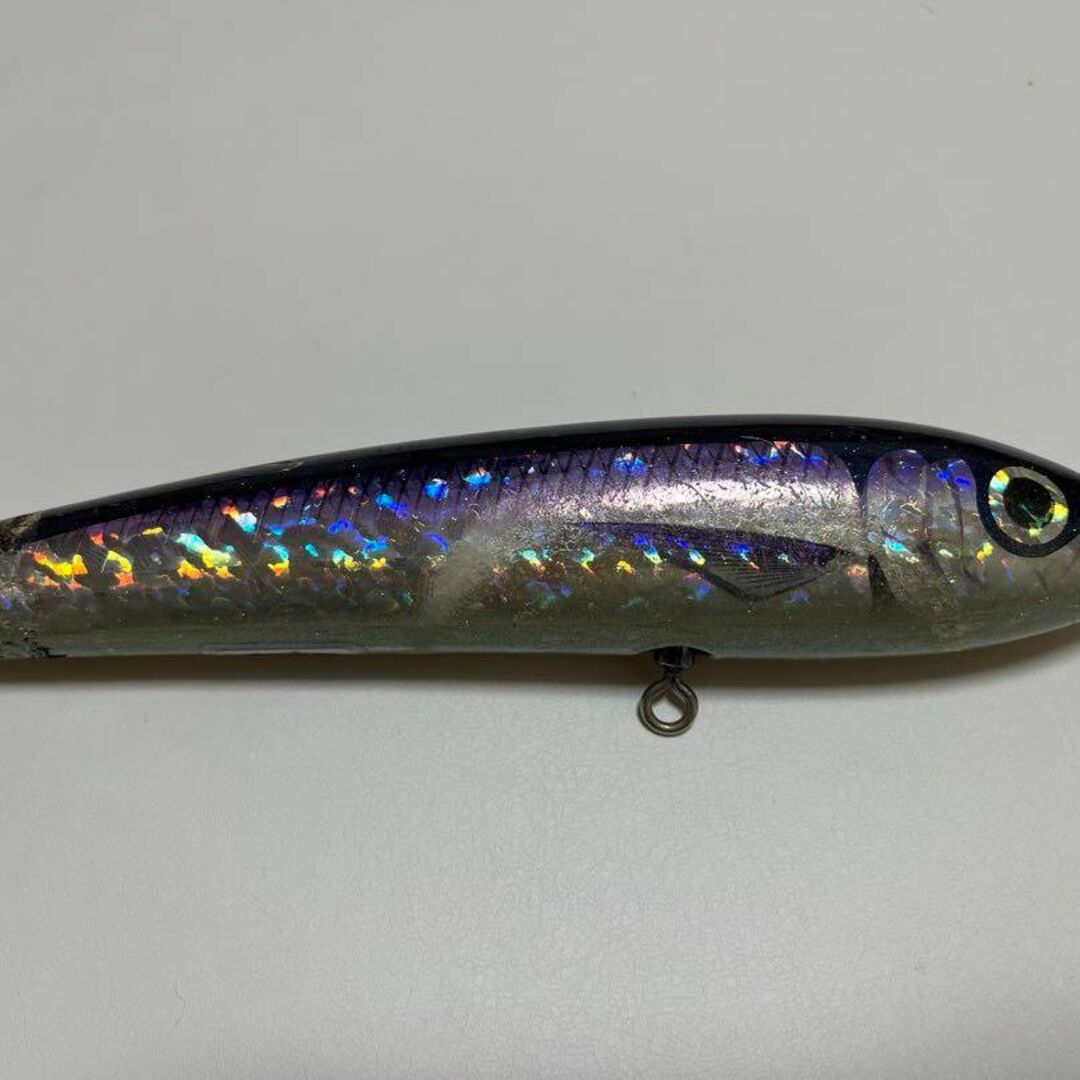 ブルーフィッシュ100　【FISH】カーペンター　BF100　carpenter